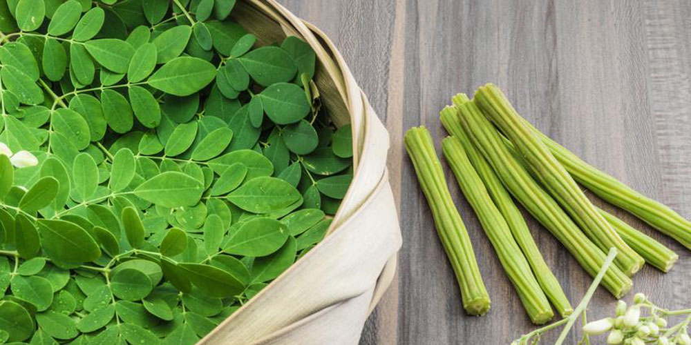 Moringa