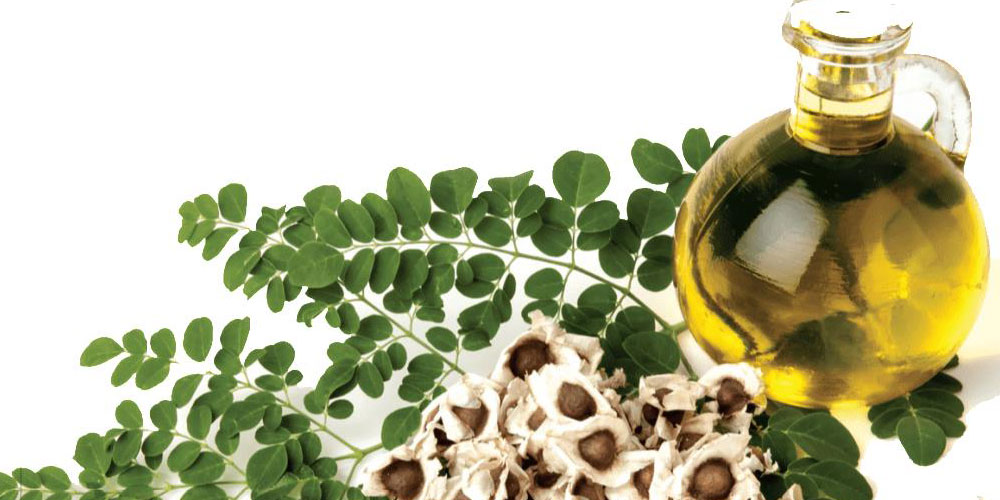 Moringa Öl